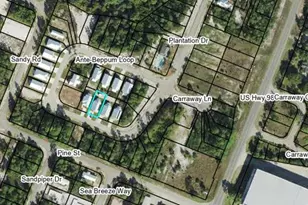 219 Ante-Beppum Loop, Carrabelle, FL 32322 - Photo 6