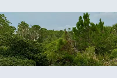 2278 Sailfish Dr, Saint George Island, FL 32328 - Photo 8