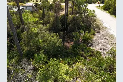 305 Palmer St, Saint George Island, FL 32328 - Photo 6