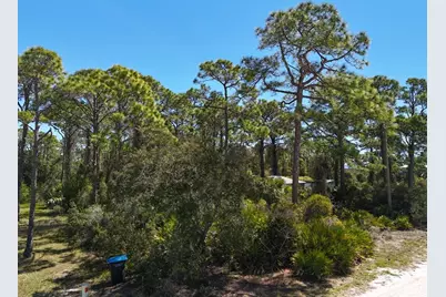 305 Palmer St, Saint George Island, FL 32328 - Photo 4