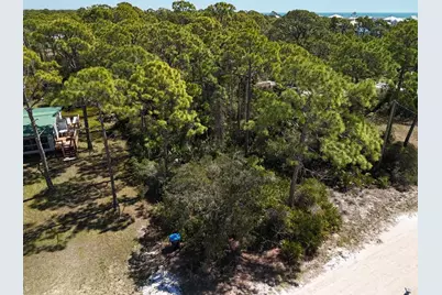 305 Palmer St, Saint George Island, FL 32328 - Photo 8
