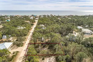 316 Nedley St, Saint George Island, FL 32328 - Photo 1