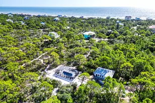 1404 Bayberry Ln, Saint George Island, FL 32328 - Photo 40