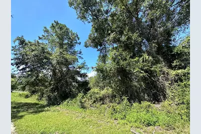 2530 Oleander Ter, Lanark Village, FL 32323 - Photo 2