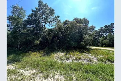 2515 Oleander Ter, Lanark Village, FL 32323 - Photo 2
