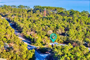2000 Lighthouse Rd, Carrabelle, FL 32322 - Photo 2