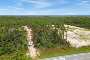 9020 Cr 386 N, Wewahitchka, FL 32456 - Photo 1