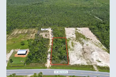 9020 Cr 386 N, Wewahitchka, FL 32456 - Photo 2