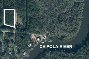 Lot 1-3 Johnson St, Wewahitchka, FL 32465 - Photo 1