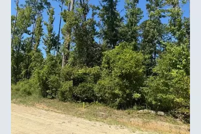 Lot 1-3 Johnson St, Wewahitchka, FL 32465 - Photo 2