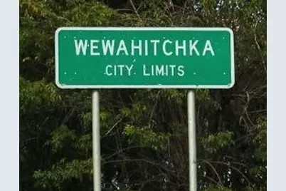 Lot 1-3 Johnson St, Wewahitchka, FL 32465 - Photo 8