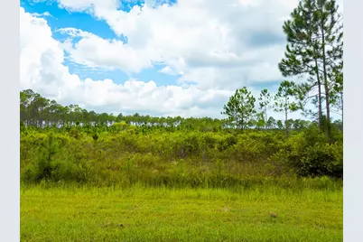 195 Jones Homestead Rd, Port Saint Joe, FL 32456 - Photo 2