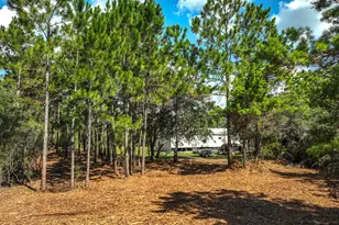 1846 Beacon St, Carrabelle, FL 32322 - Photo 42