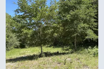 213 N Bay Shore Dr, Eastpoint, FL 32328 - Photo 20