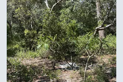 213 N Bay Shore Dr, Eastpoint, FL 32328 - Photo 22