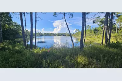 178 Lake Pristine Cir, Carrabelle, FL 32322 - Photo 2