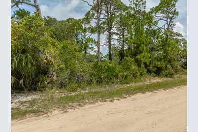 1019 Porter St, Saint George Island, FL 32328 - Photo 2