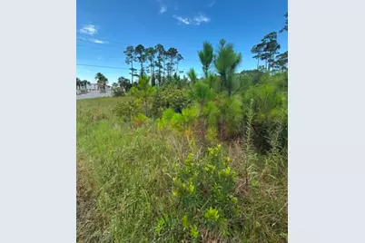 Lot 2 Cape San Blas Rd, Cape San Blas, FL 32456 - Photo 12