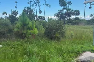 Lot 2 Cape San Blas Rd, Cape San Blas, FL 32456 - Photo 1