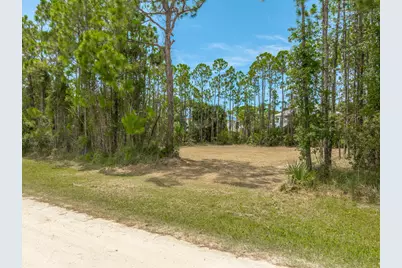 324 Brown St, Saint George Island, FL 32328 - Photo 2