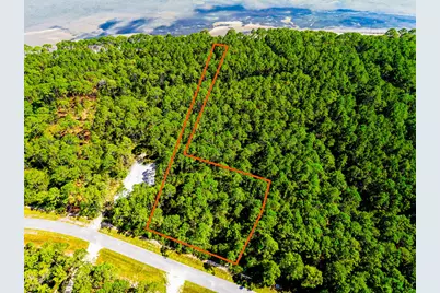 292 Gramercy Plantation Blvd, Eastpoint, FL 32328 - Photo 6