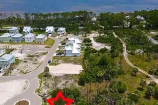 180 Las Palamas Ln, Port Saint Joe, FL 32456 - Photo 1