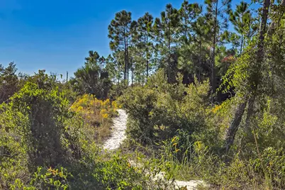 366 Sea Grove Way, Port Saint Joe, FL 32456 - Photo 130