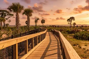 366 Sea Grv Wy, Port Saint Joe, FL 32456 - Photo 124