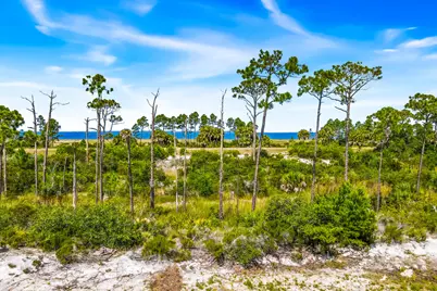 366 Sea Grove Way, Port Saint Joe, FL 32456 - Photo 108