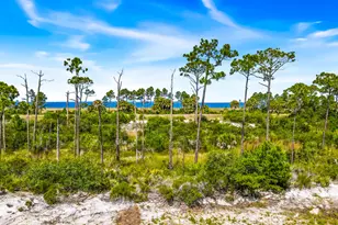 366 Sea Grv Wy, Port Saint Joe, FL 32456 - Photo 108