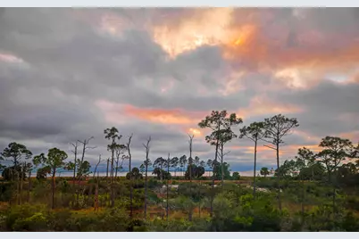 366 Sea Grove Way, Port Saint Joe, FL 32456 - Photo 128