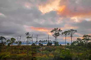 366 Sea Grv Wy, Port Saint Joe, FL 32456 - Photo 128