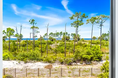 366 Sea Grove Way, Port Saint Joe, FL 32456 - Photo 78