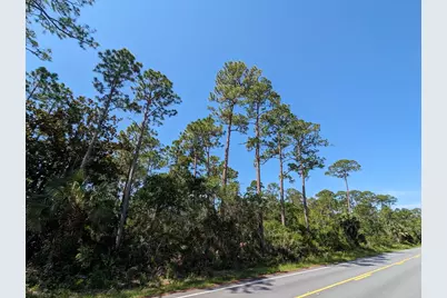 10774 Cr 30-A, Port Saint Joe, FL 32456 - Photo 2