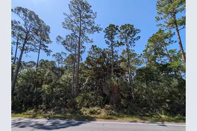 10790 Cr 30-A, Port Saint Joe, FL 32456 - Photo 2