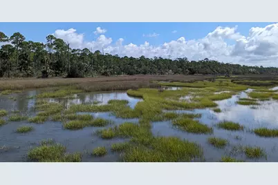10790 Cr 30-A, Port Saint Joe, FL 32456 - Photo 8