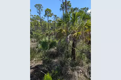 10806 Cr 30-A, Port Saint Joe, FL 32456 - Photo 10