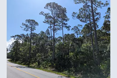 10806 Cr 30-A, Port Saint Joe, FL 32456 - Photo 2