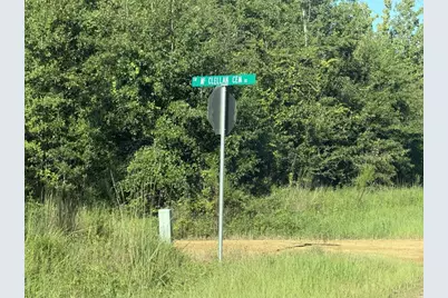 0022 SW McClellan Cemetery Rd, Clarksville, FL 32430 - Photo 4