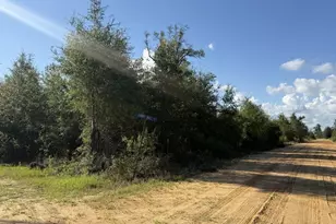0022 SW McClellan Cemetery Rd, Clarksville, FL 32430 - Photo 1