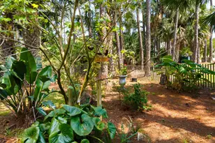 548 E Pine Ave, Saint George Island, FL 32328 - Photo 48