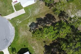 110 Tyler Terrace, Port Saint Joe, FL 32456 - Photo 1