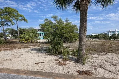 352 Cord Grass Way, Port Saint Joe, FL 32456 - Photo 4
