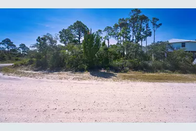 1100 W Pine Ave, Saint George Island, FL 32328 - Photo 1