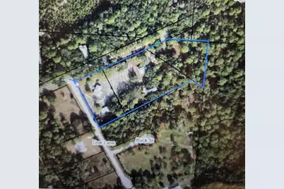 155 Doe Ln, Carrabelle, FL 32322 - Photo 64