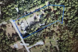 155 Doe Ln, Carrabelle, FL 32322 - Photo 64