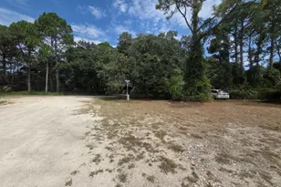 155 Doe Ln, Carrabelle, FL 32322 - Photo 10