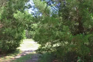 155 Doe Ln, Carrabelle, FL 32322 - Photo 16