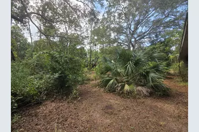 155 Doe Ln, Carrabelle, FL 32322 - Photo 74