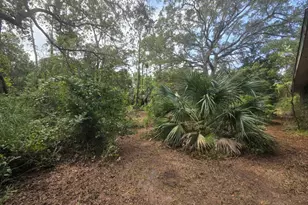 155 Doe Ln, Carrabelle, FL 32322 - Photo 74